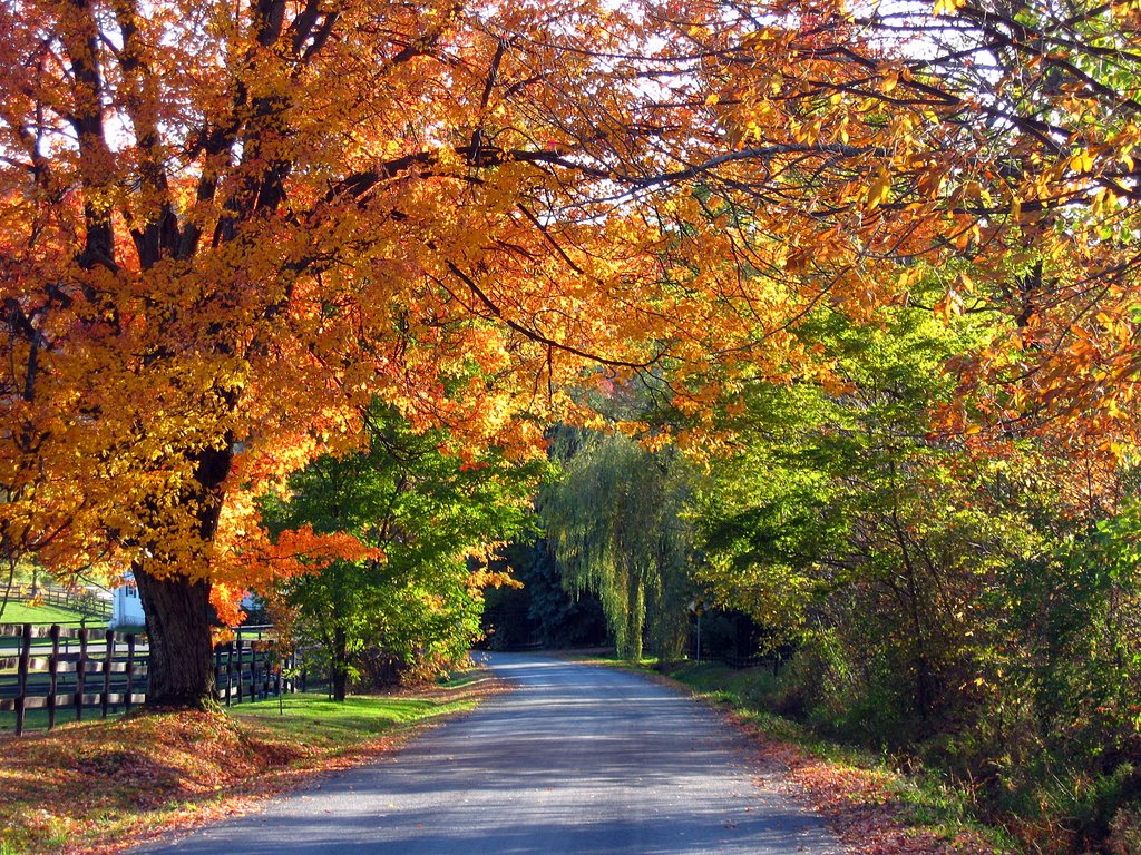 Tilson road