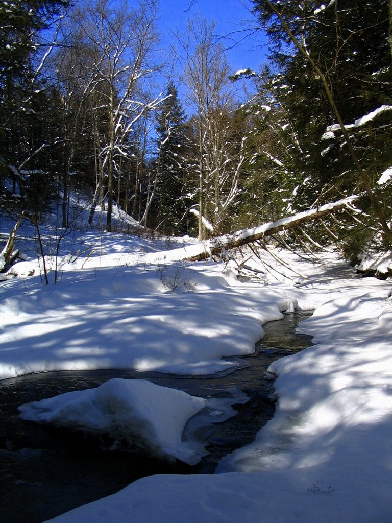 Stream off of Nichols Road