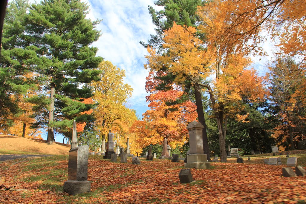Gowanda Where History comes to life..