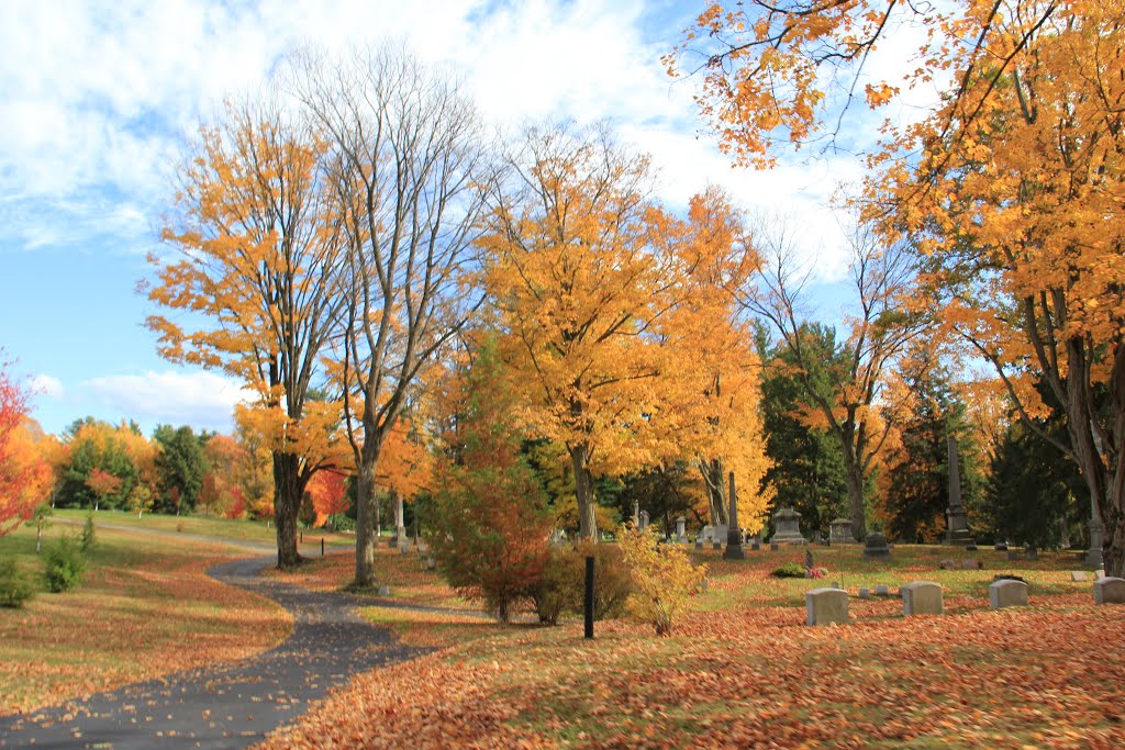 Gowanda Where History comes to life..