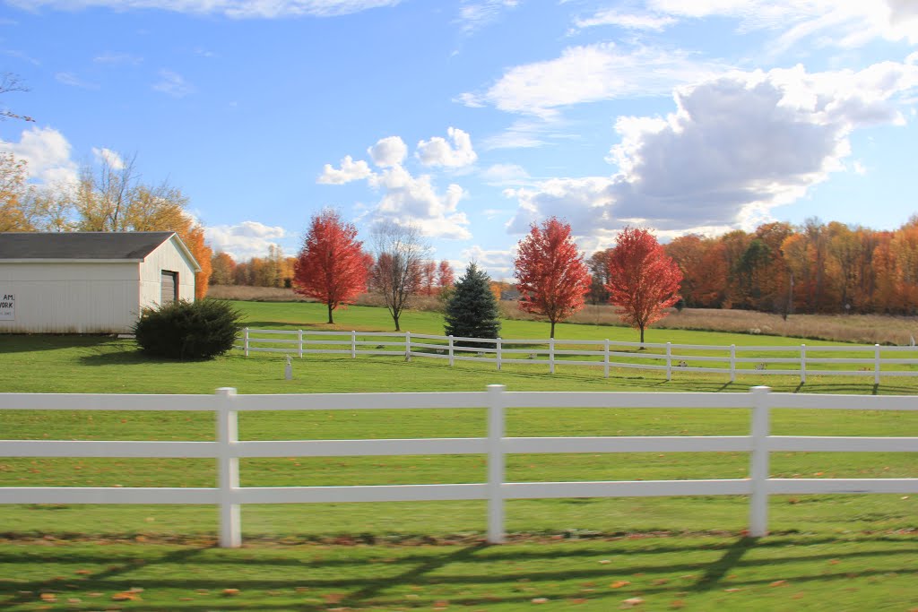 Gowanda Where History comes to life..