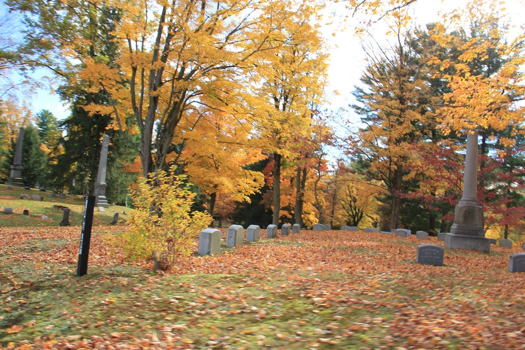 Gowanda Where History comes to life..