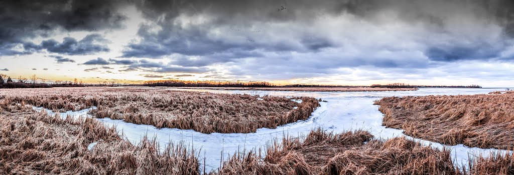 Braddocks Bay. End of Winter