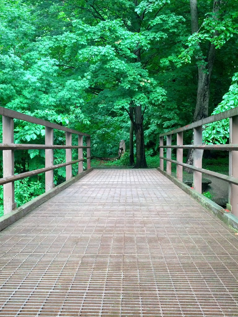 Sawyer Park bridge