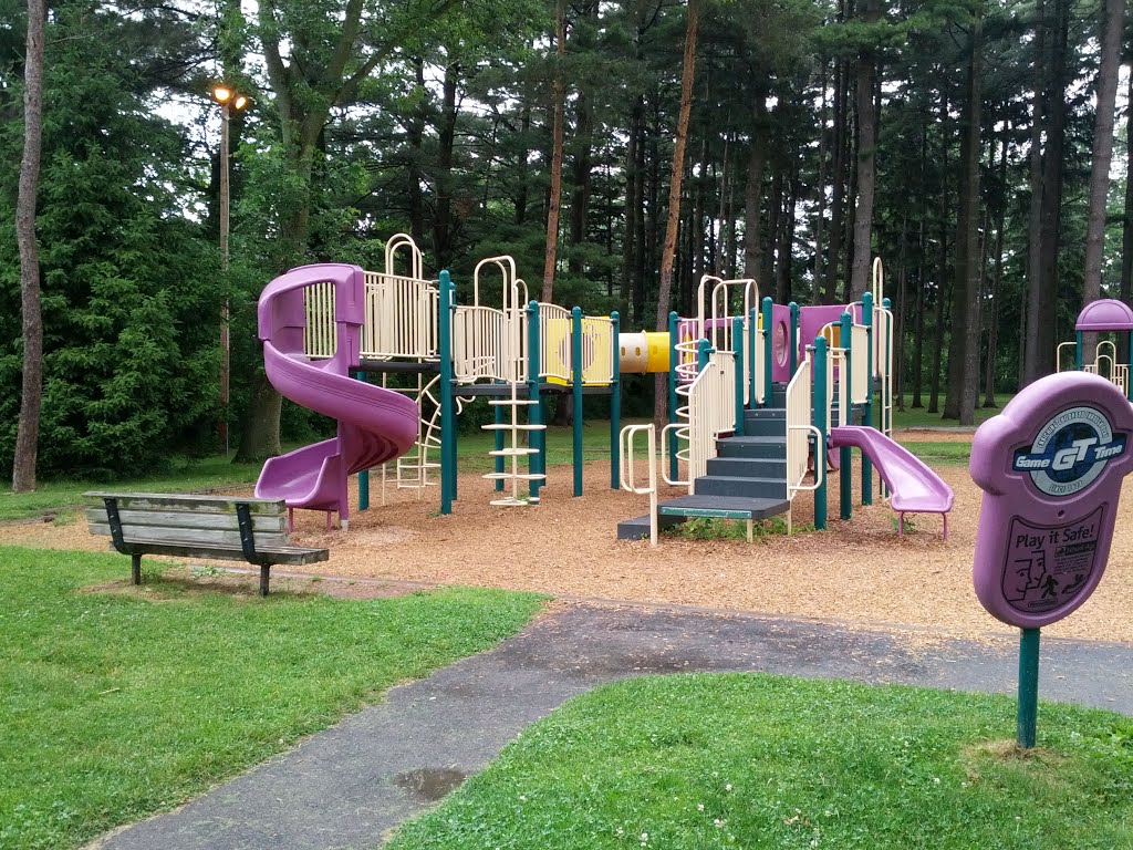 Sawyer Park large playground