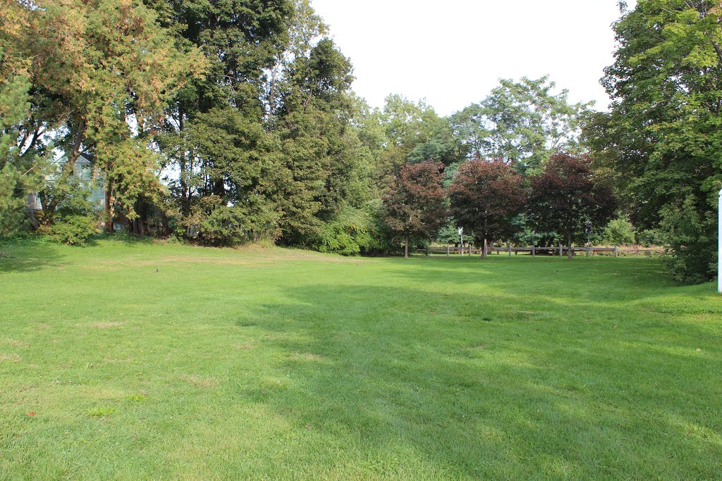 Pappas Park open field