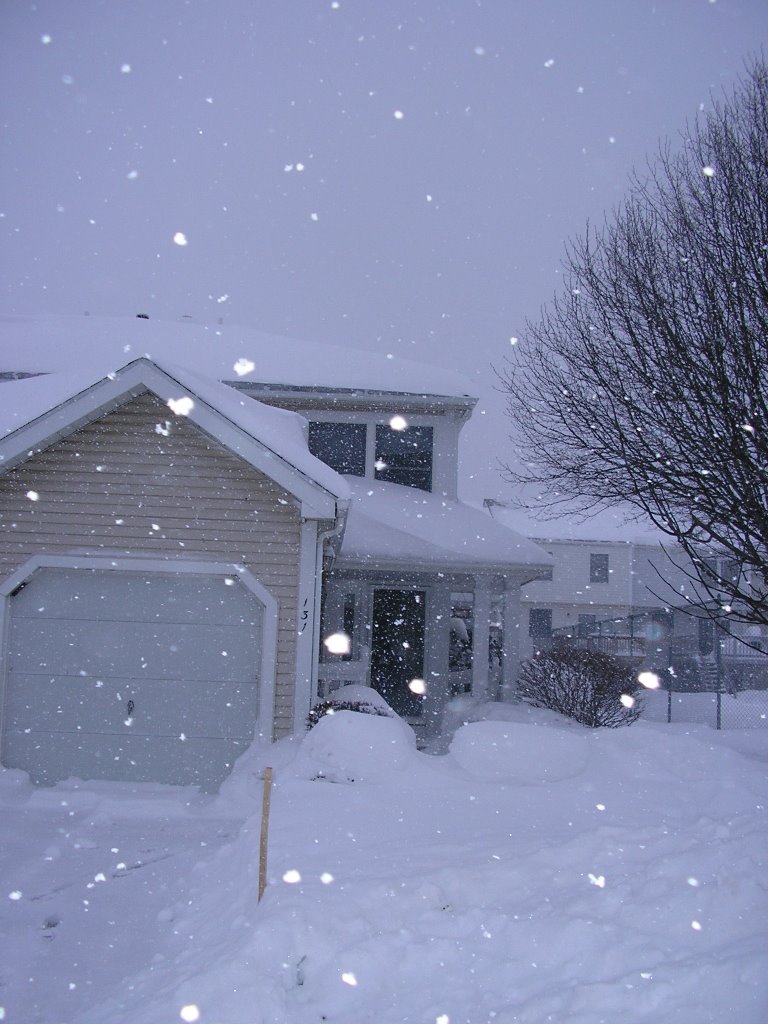 Jordache Lane in the Winter