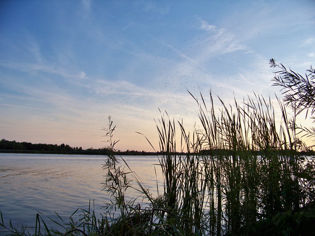 Braddock Bay