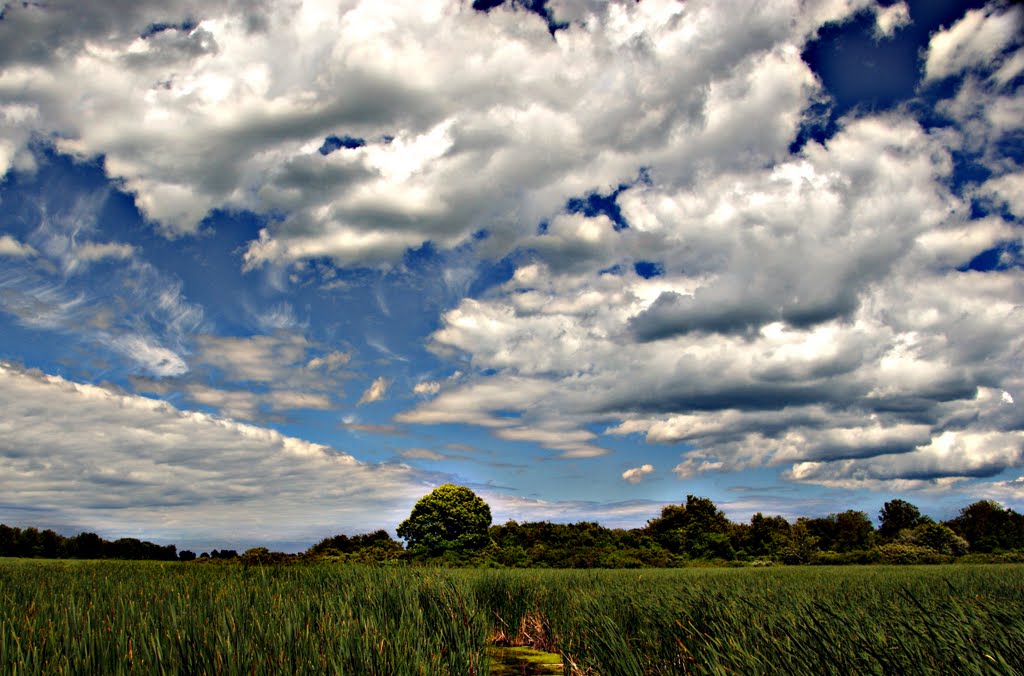 Beatty Point