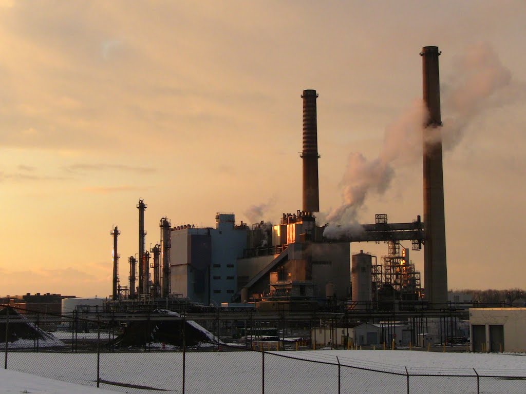 kodak coal plant
