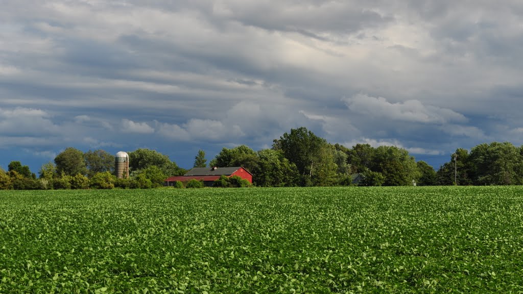 Farmlands, Silo and Red Barn - on Manitou Road in Greece, NY