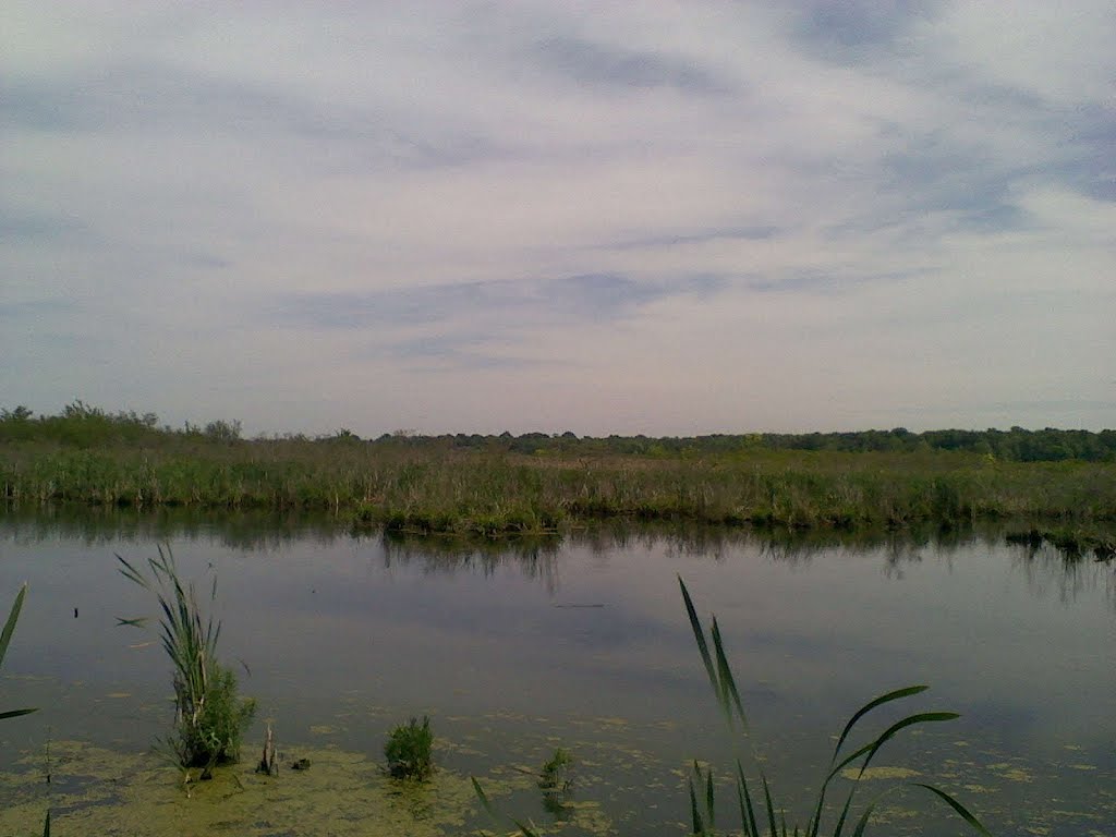Nature Trail Near Braddock Bay