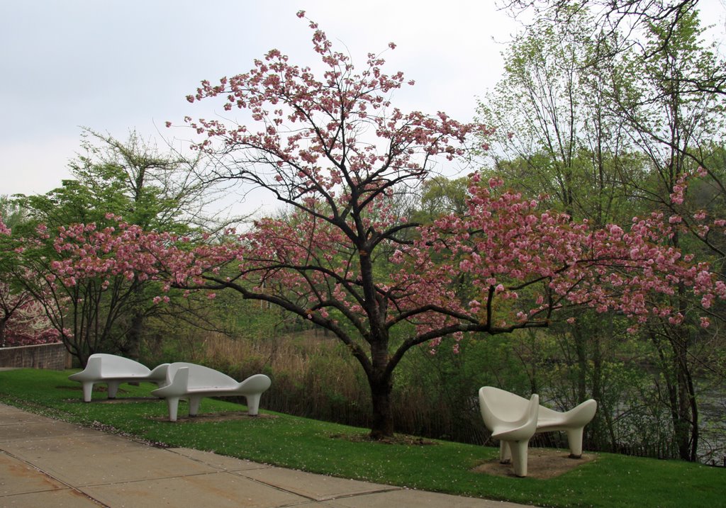 Garden In Great Neck Library 2. May 1 2009.