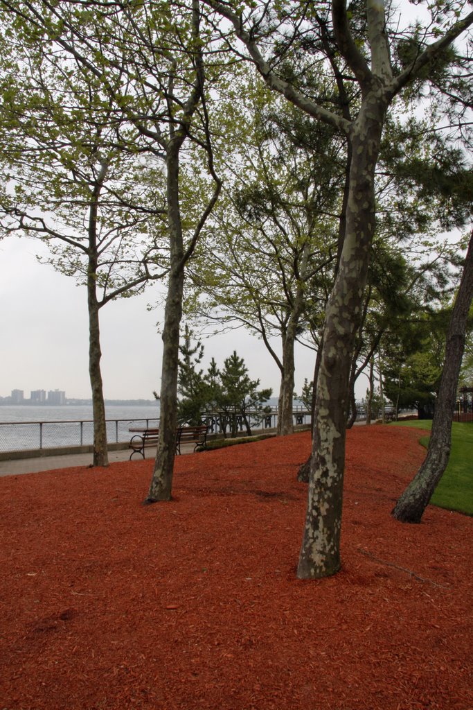Red Mulching. Great Neck Estates Park.