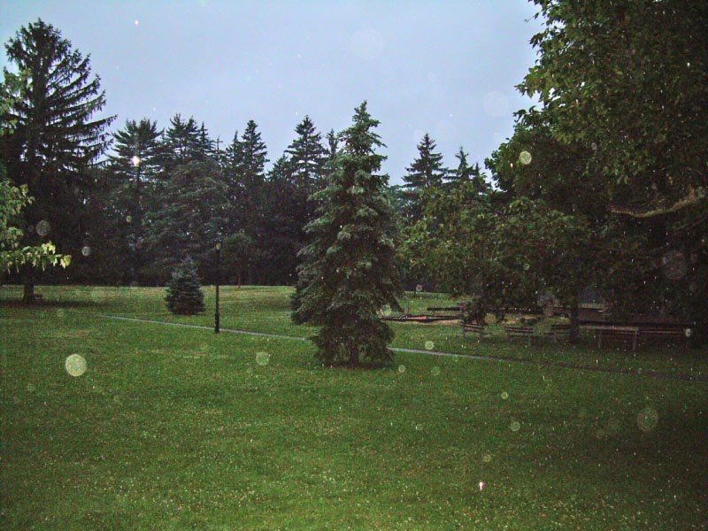 Allenwood Park