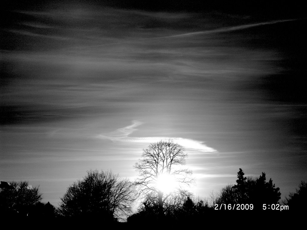Black & White