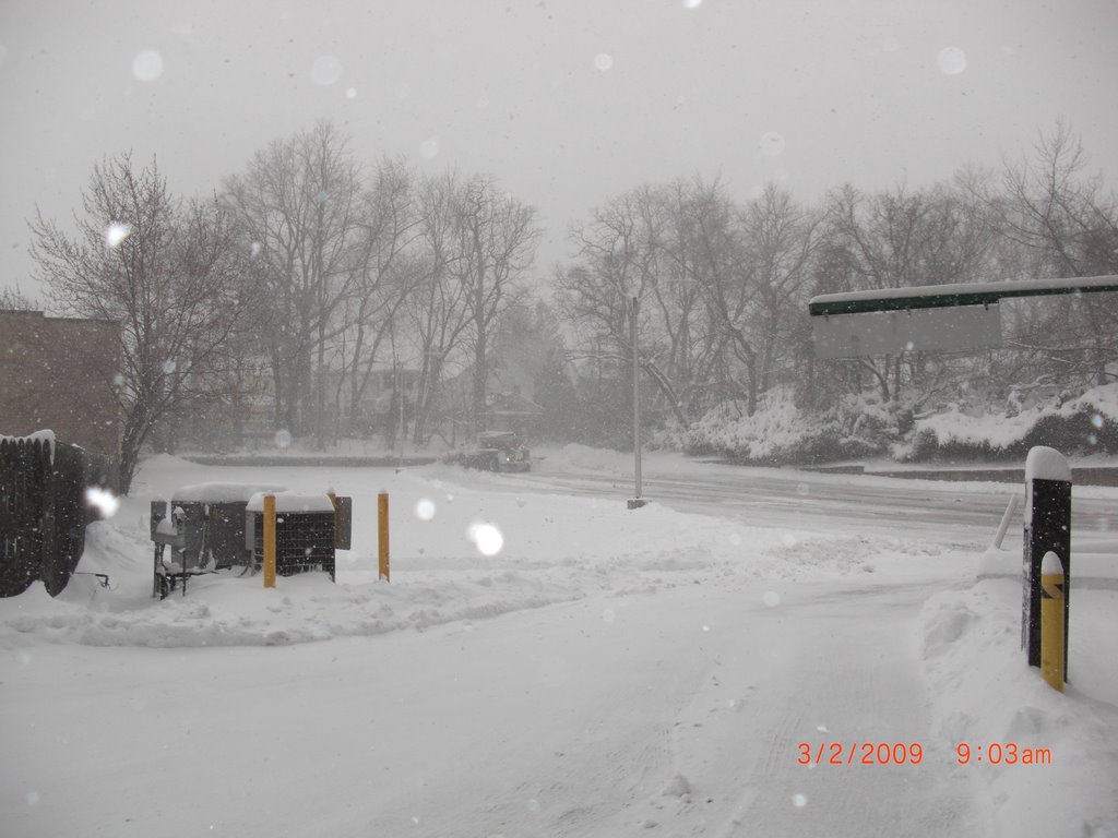 Snow day!