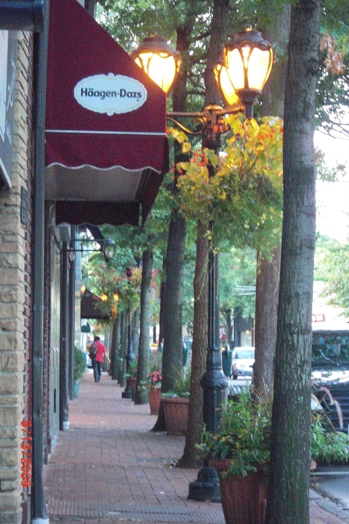 Street on Great neck