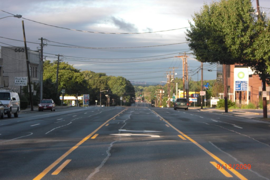 looking west Northern Blvd