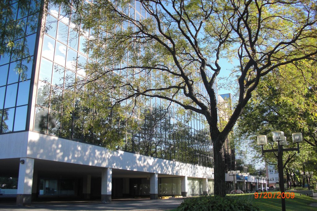 The Towers City Bank