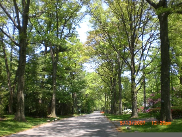 Remsen Rd