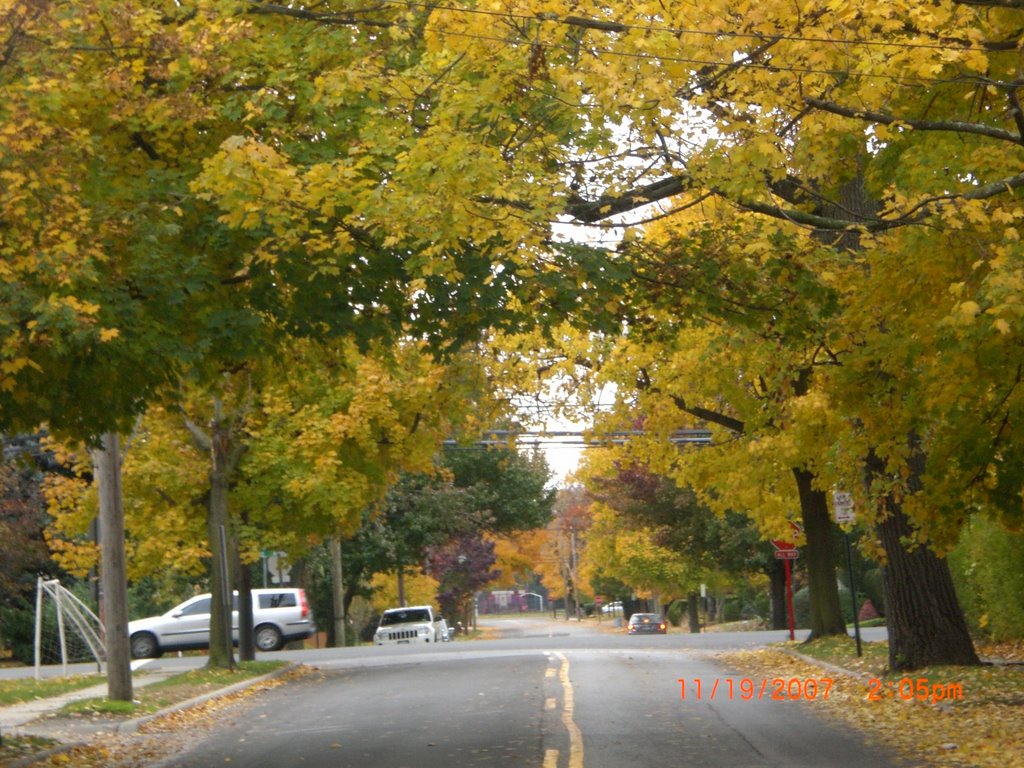 Forest Row