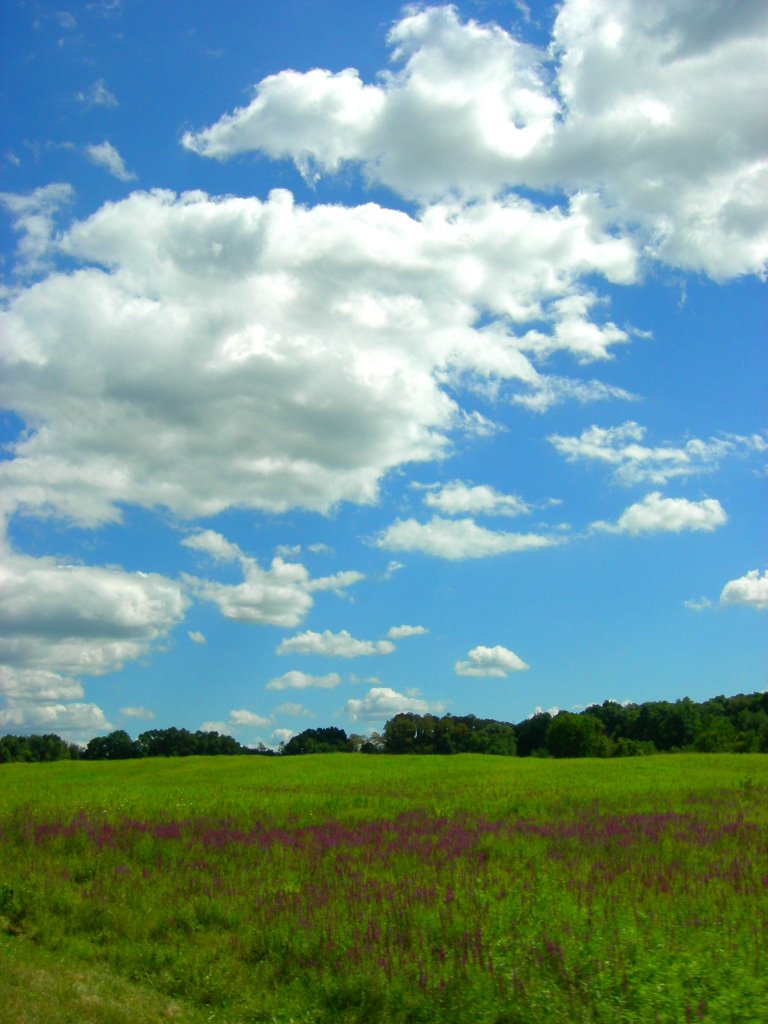 Summer Day