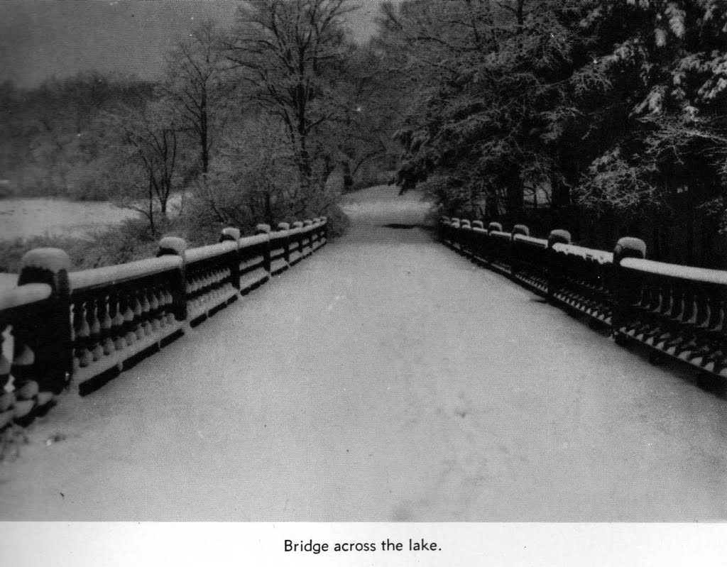 Bridge over the lake