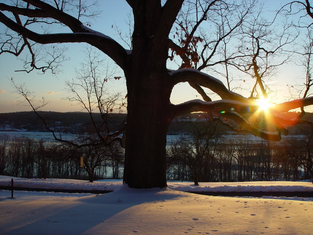 Cloister Sunrise, Holy Cross Monastery