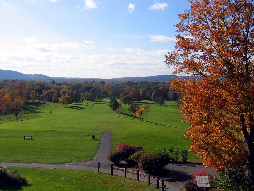 Dinsmore Golf Course