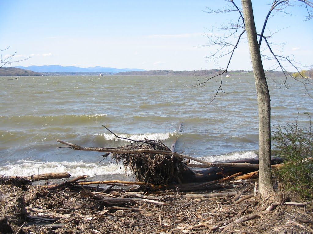 Windy day in Spring, Ogden Mills, Staatsburg, NY