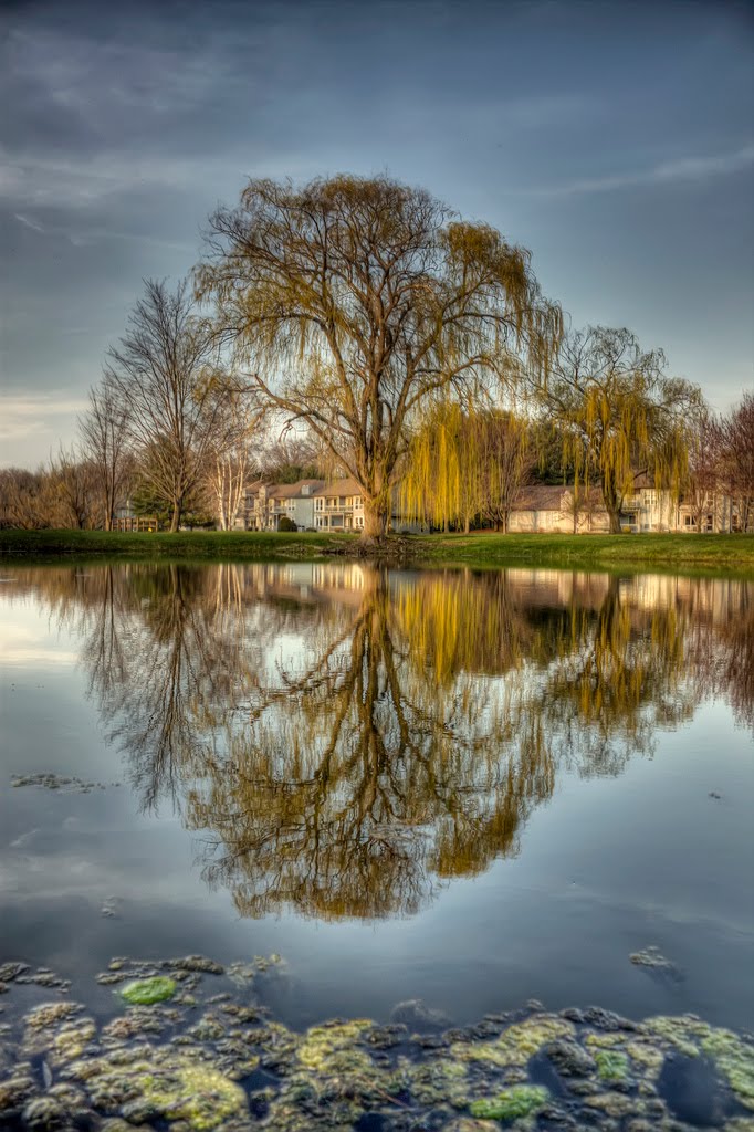 Reflection