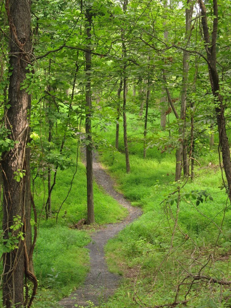 Hopeland area trails