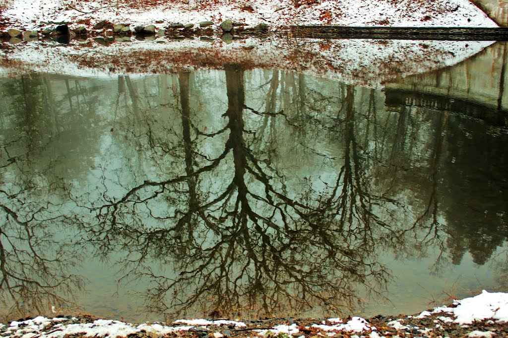 Vanderbilt Estate....24FEB12