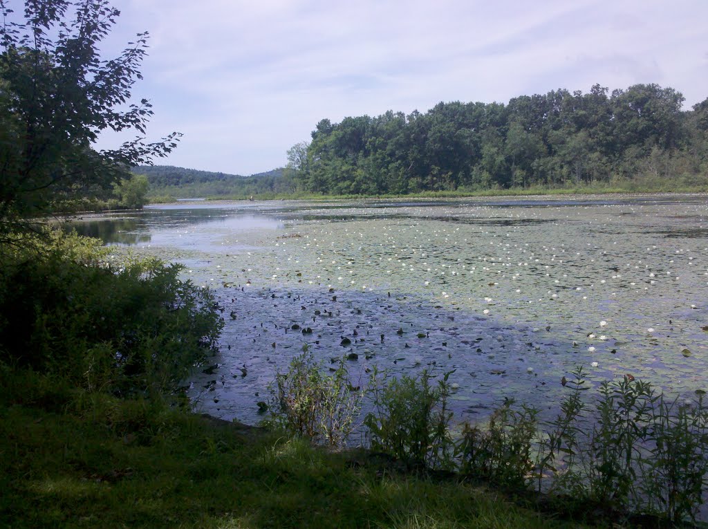 Long Pond, end of Villa de Haya Rd.