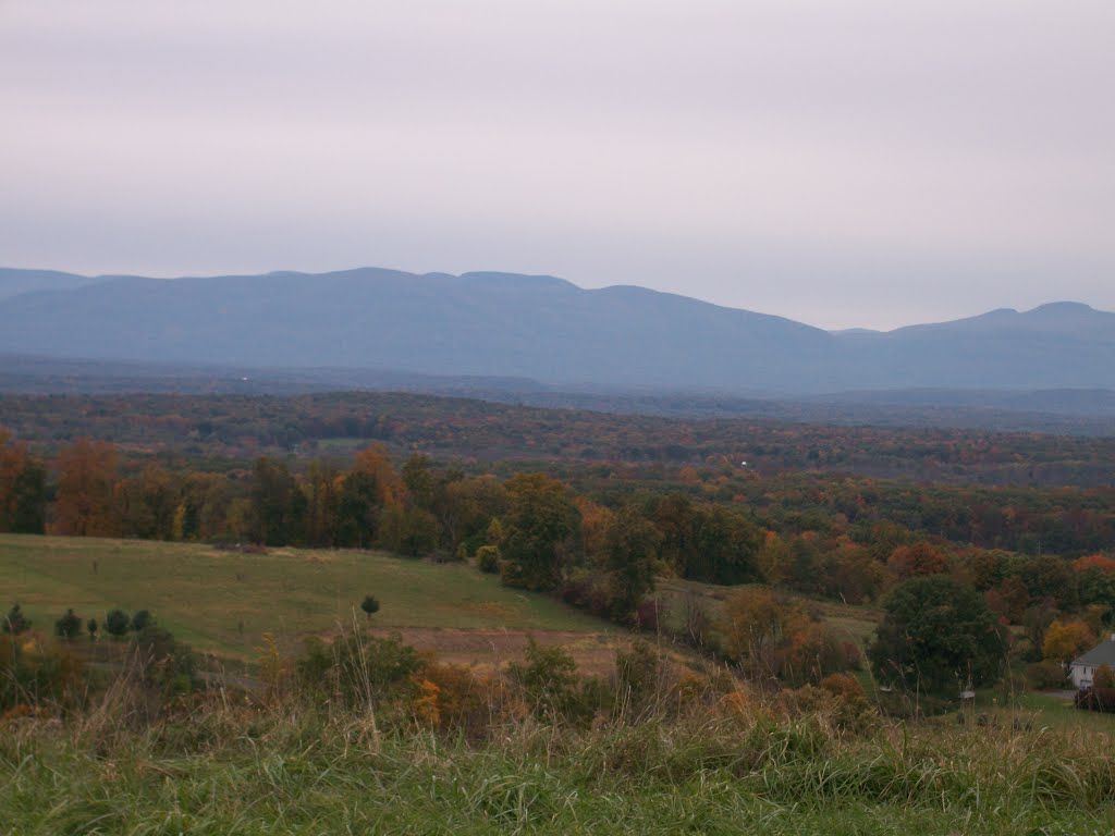 View From Burger Hill