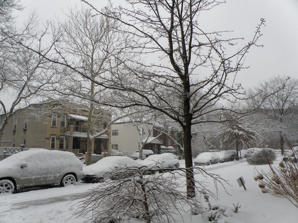 All the street is covered with snow.