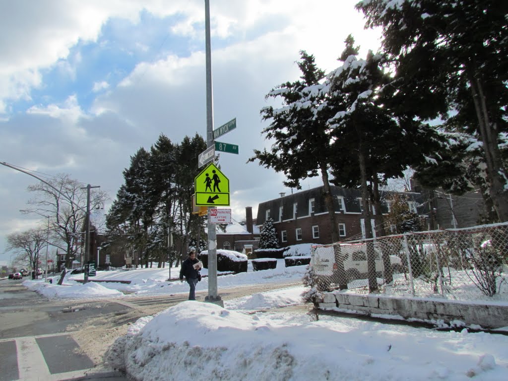 Street & Cars are covered with snow.