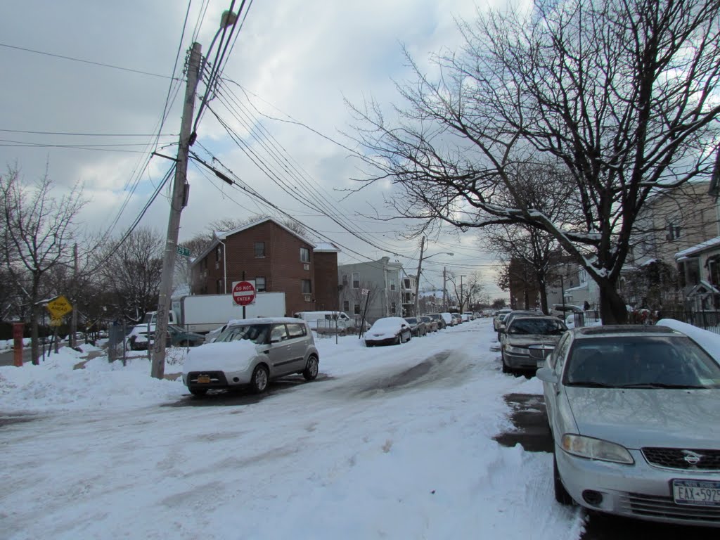 Street & Cars are covered with snow.