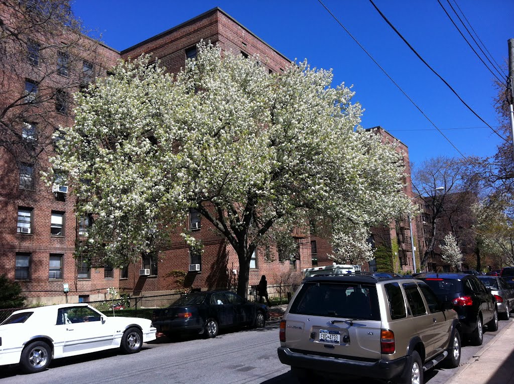 Beautiful Briarwood  in Queens. New York.