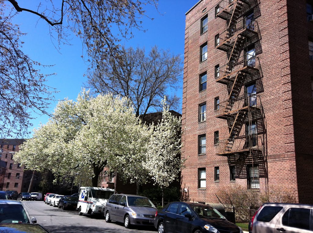 Beautiful Briarwood  in Queens. New York.