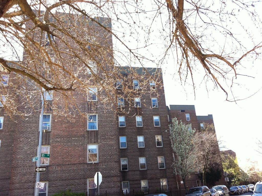 Beautiful Briarwood  in Queens. New York.