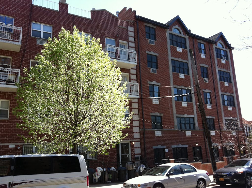 Beautiful Briarwood  in Queens. New York.