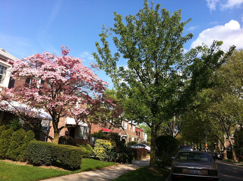 Beautiful Briarwood,Queens , New York. U.S.A.