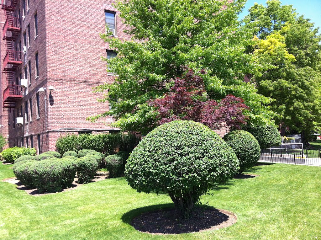 The View of Beautiful Briarwood. Queens, New York City, New York. U.S.A.