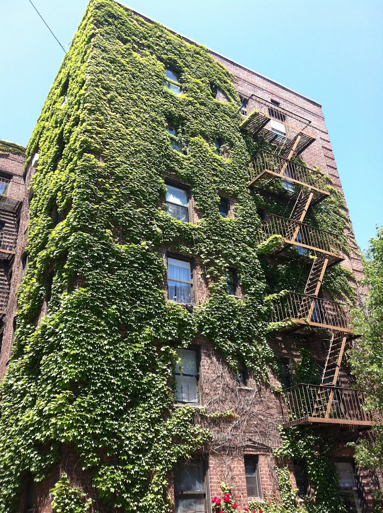 The View of Beautiful Briarwood, Queens. New York City, New York. U.S.A.