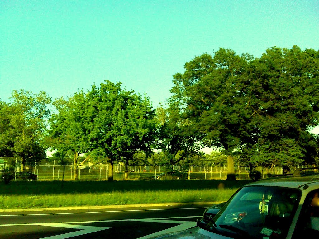 UsNY0013_190512Van Wyck Expy