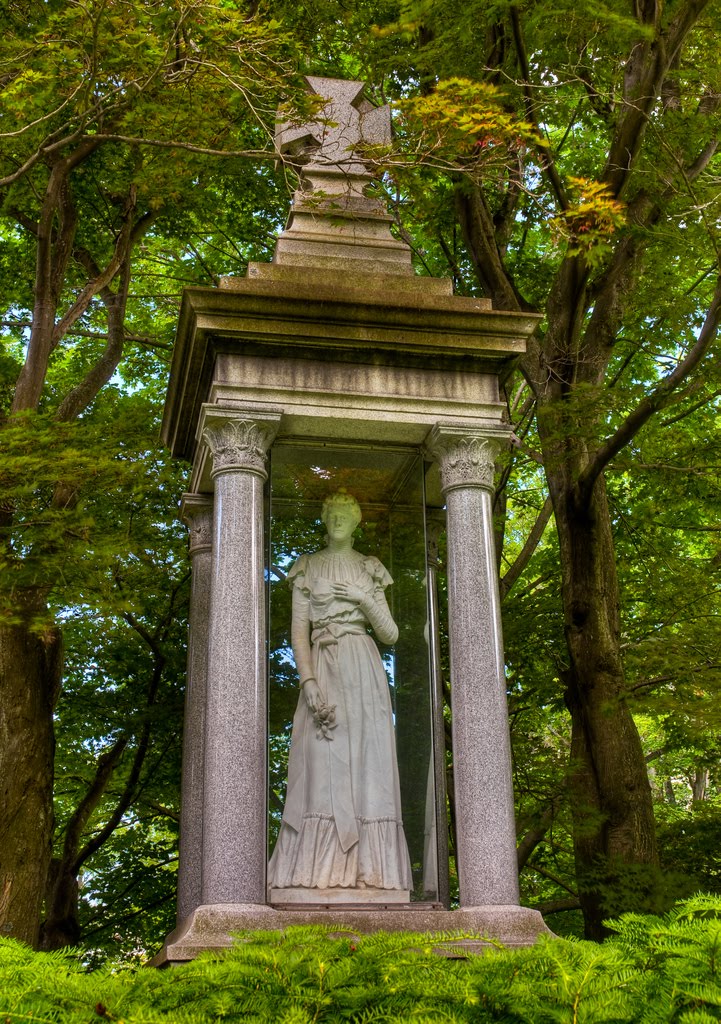 The Glass Lady