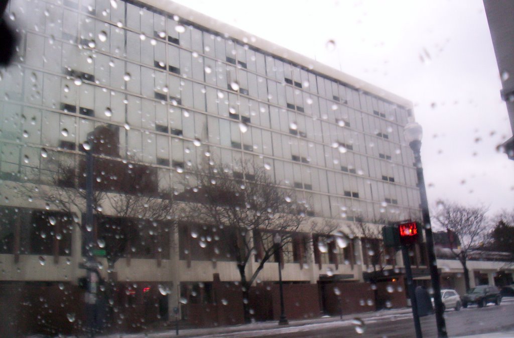 Holiday Inn (Radisson) Glass Mirror Windows