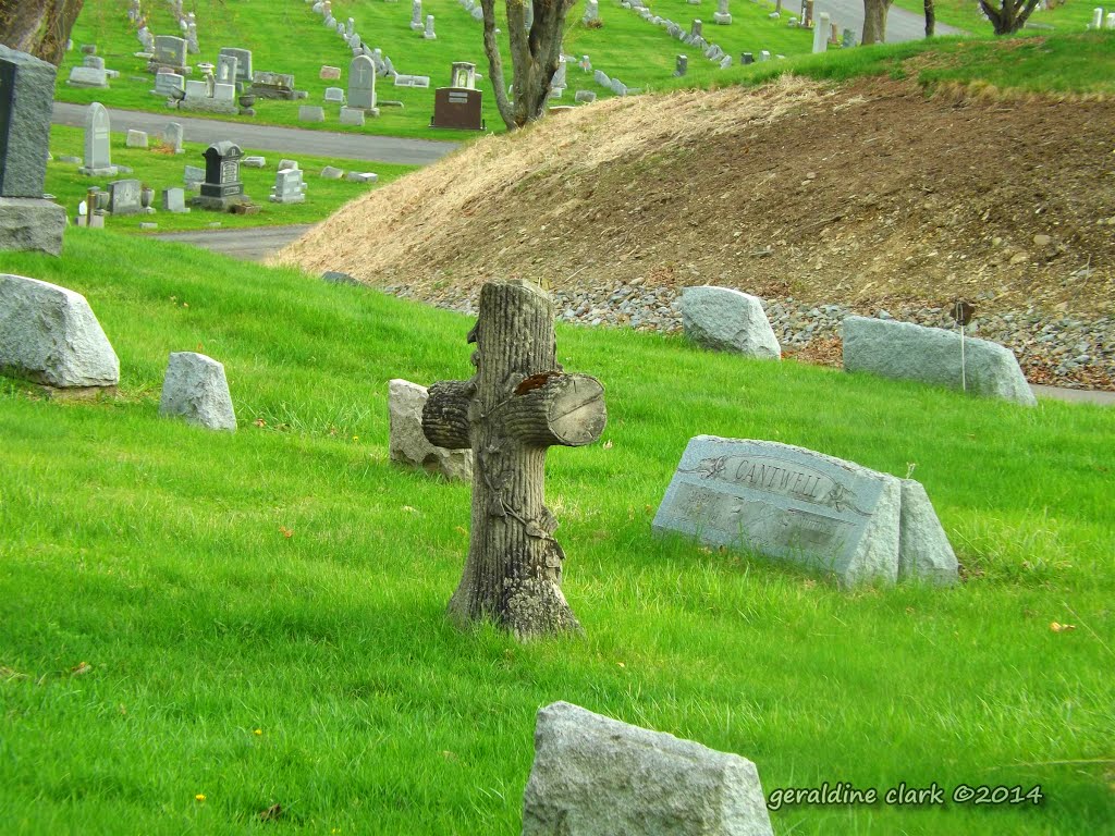 calvary cemetery 5/3/14